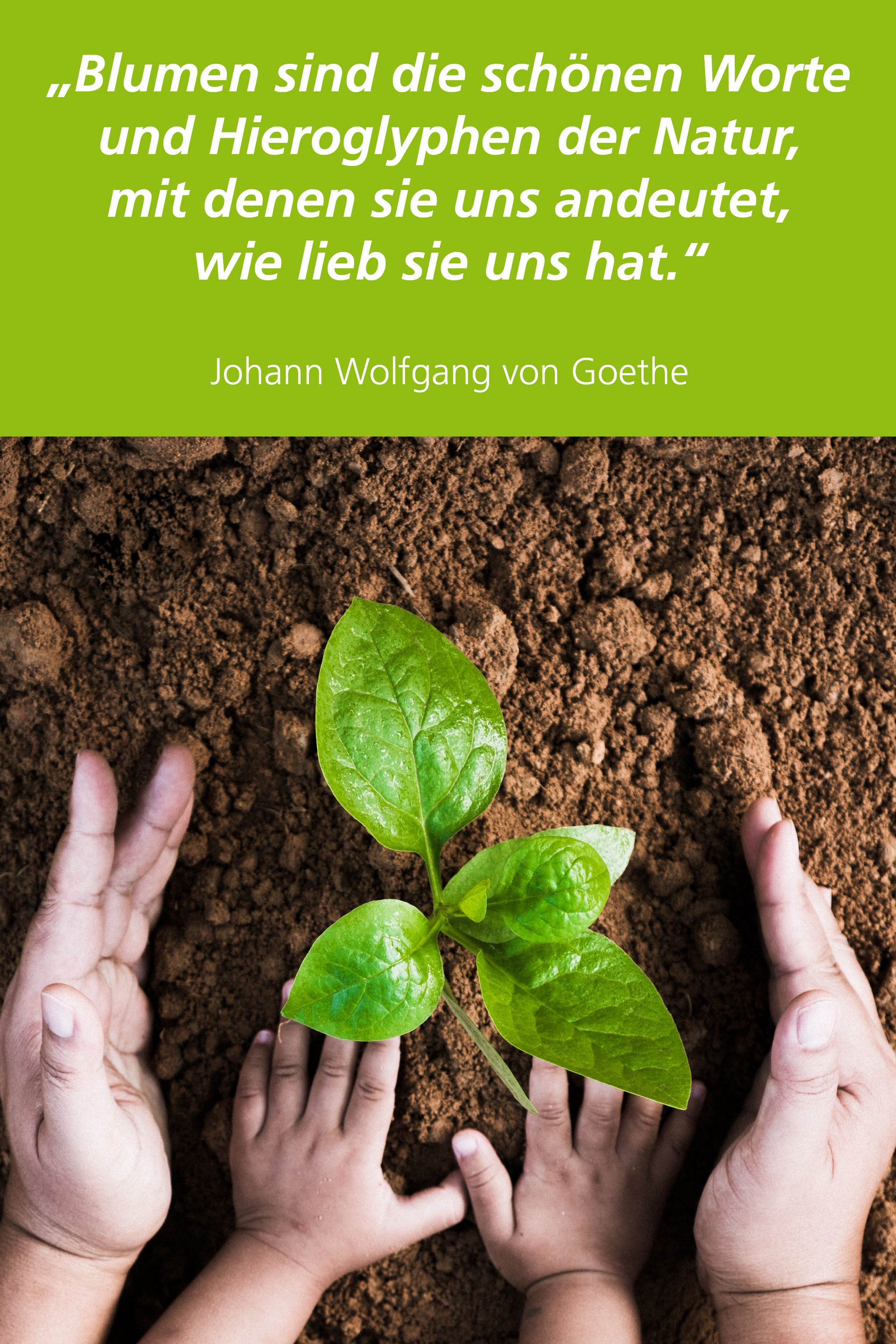 Bild mit Baumsetzling und Zitat von Johann Wolfgang von Goethe: "Blumen sind die schönen Worte und Hieroglyphen der Natur, mit denen sie uns andeutet, wie lieb sie uns hat."