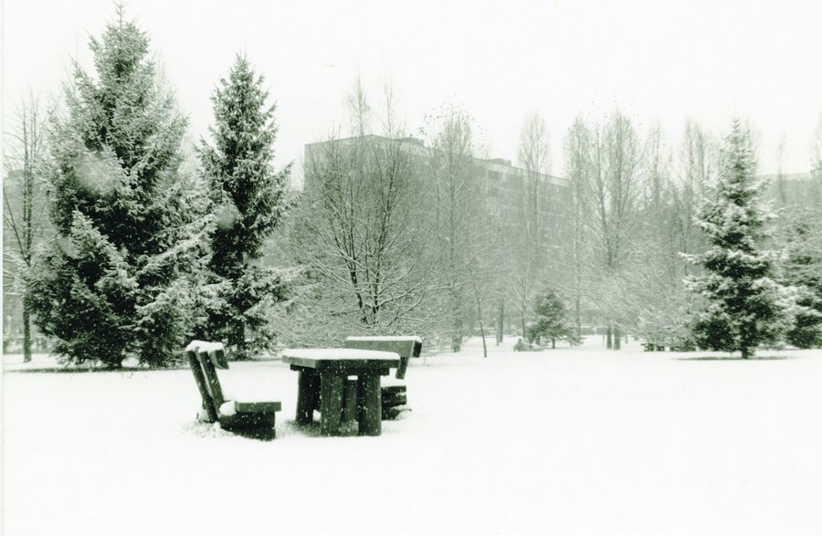 Friedliches Winterbild des Friedensparks