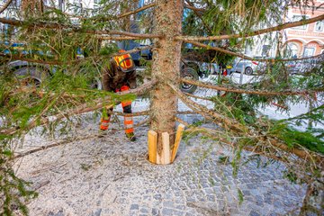 Christbaum Stadtplatz 2026