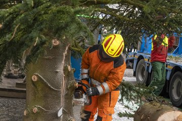 Weihnachtsbaum 2022