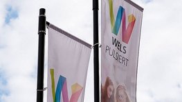 Wels Pulsiert - Flagge