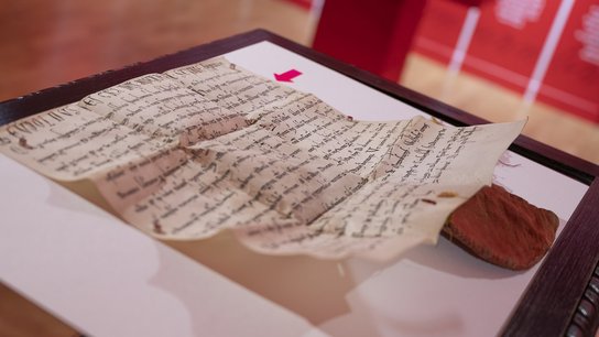 Sonderausstellung Wels 800 Burg Wir sind die Stadt Urkunde erste Nennung