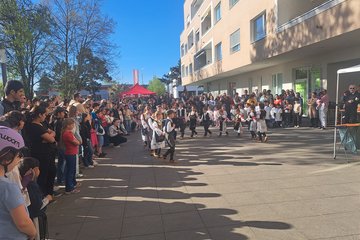 Maibaum Noitzmühle 2026