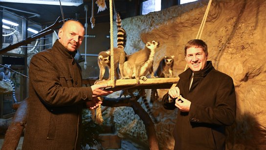 Nachwuchs im Tiergarten Rabl Rammerstorfer