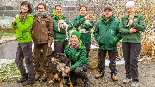 Tierheim Arche Wels Team