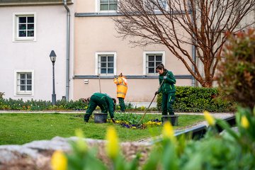 PK Frühling in Wels Stadtgärtner Burggarten 3