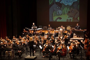 Orchester der LMS Wels © Barbara Pichler