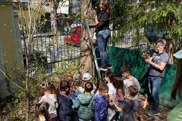 Hort Vogelweide Tiergarten Vogelkinderstube