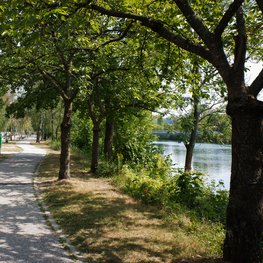 Bild vom Trepplweg mit Blick Richtung Traun