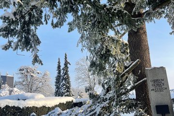 Schnee Friedhof