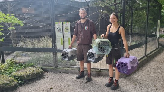 Rettungsaktion Tiergarten