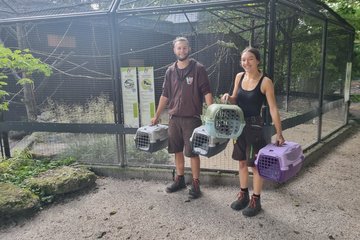 Rettungsaktion Tiergarten Wels