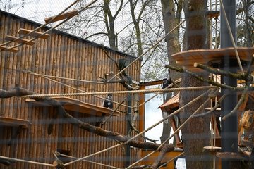 PK Tiergarten Guereza Eröffnung