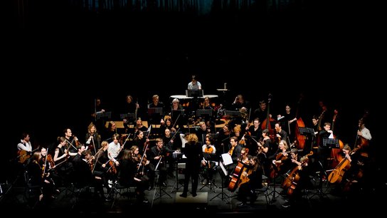 Sinfonietta Wels © Dinkhauser