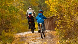 Zwei Fahrradfahrer von hinten