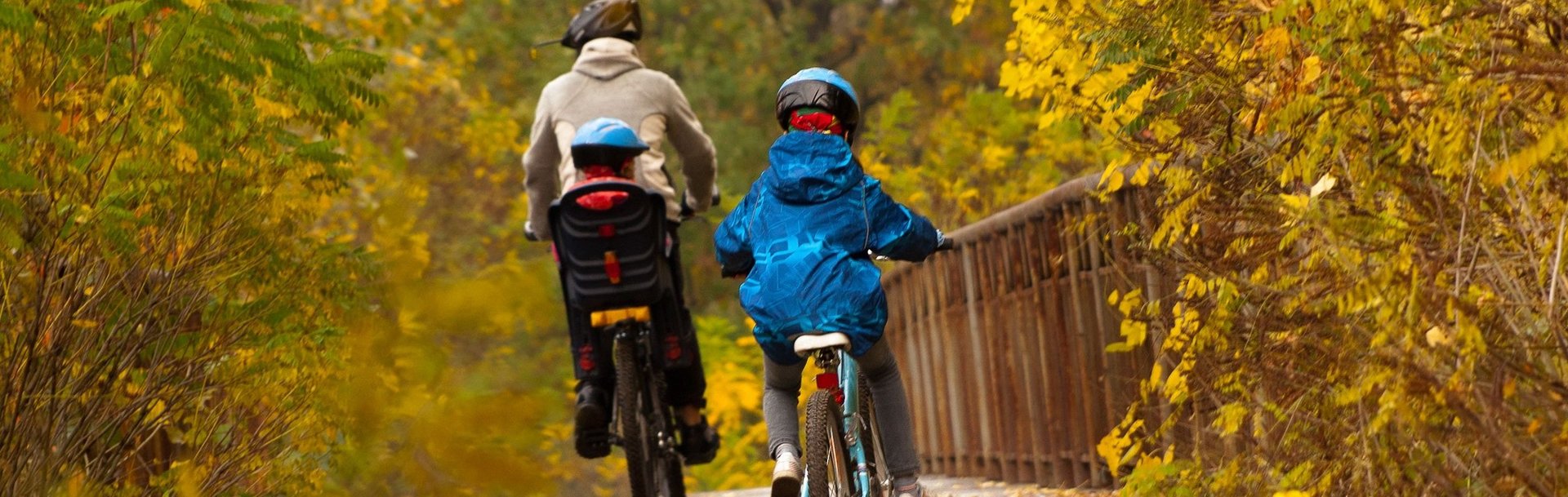 Foto mit drei wegfahrenden Radfahrern