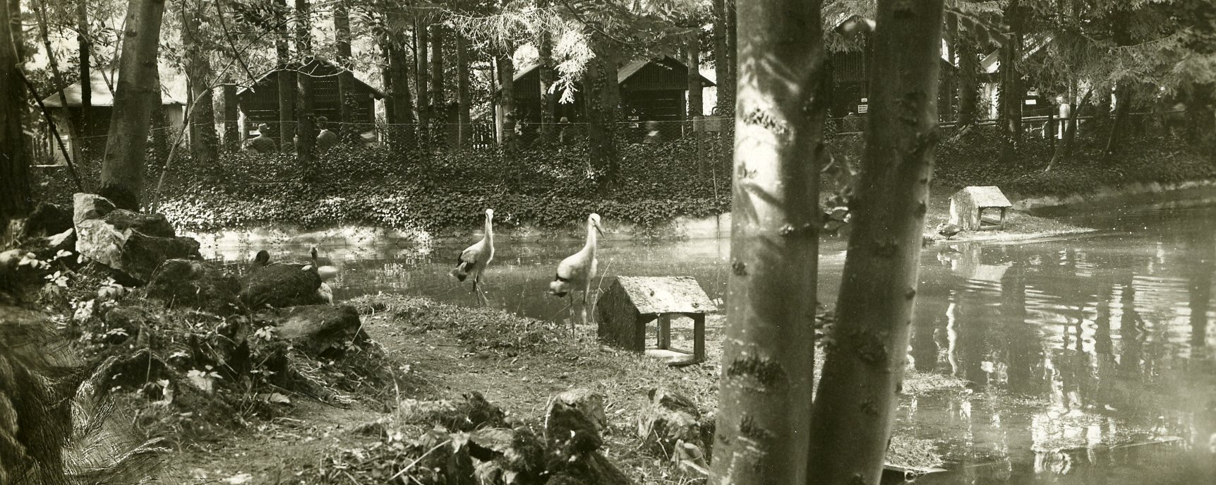 Tiergarten Wels in alter Ansicht