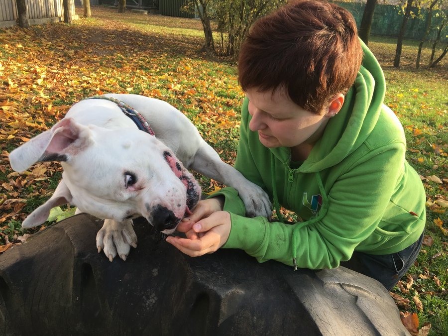 Frau bei einer ehrenamtliche Tätigkeit mit Hund Patricia