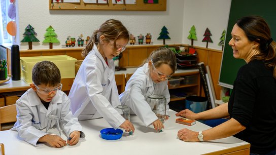 KBBE Vogelweide Spürnasenecke