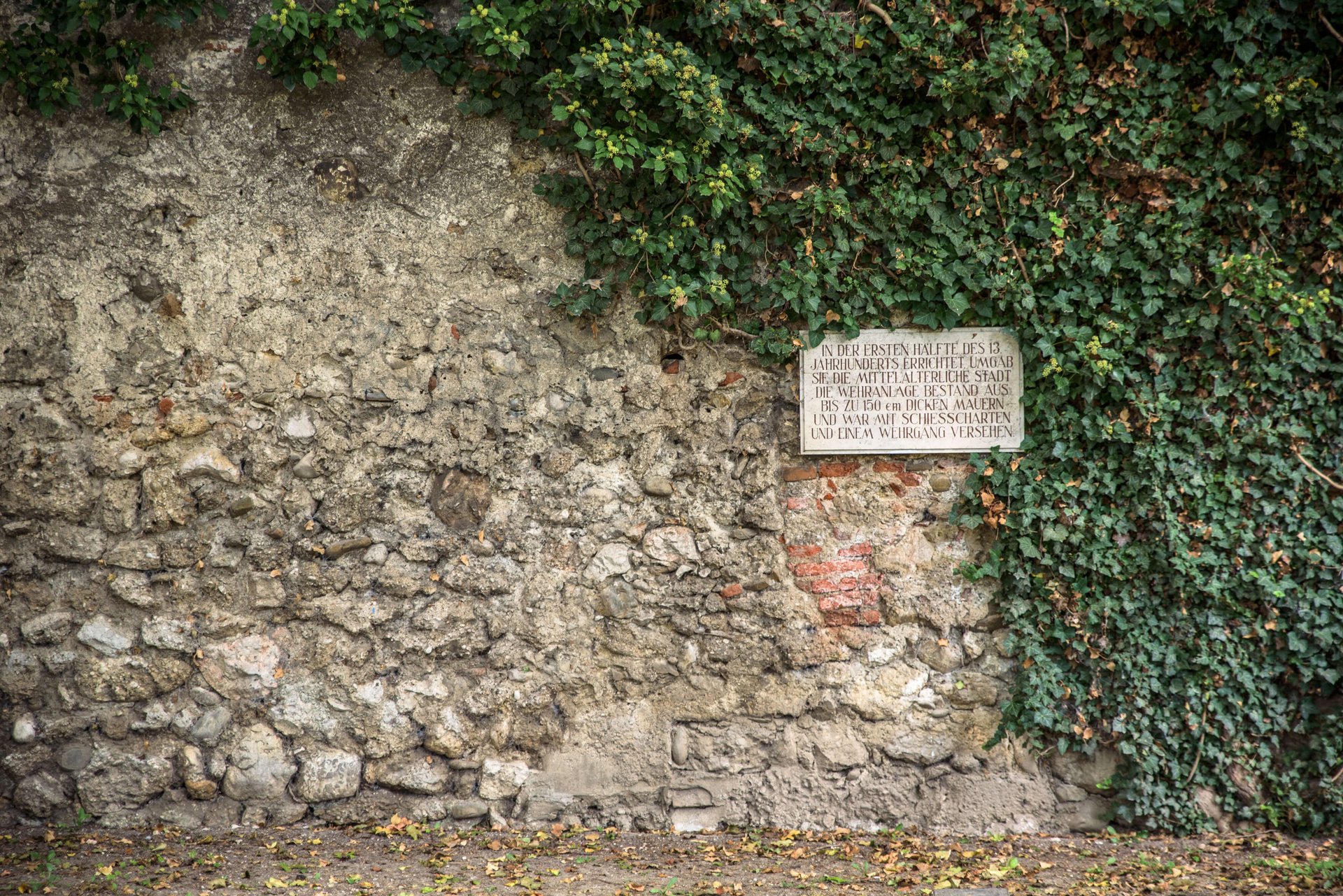 Stadtmauer