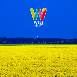 Sujet: Wels hilft