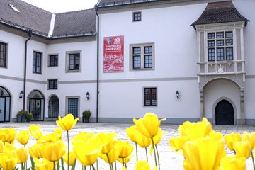 Sonderausstellung Wels 800 Burg Burggarten außen