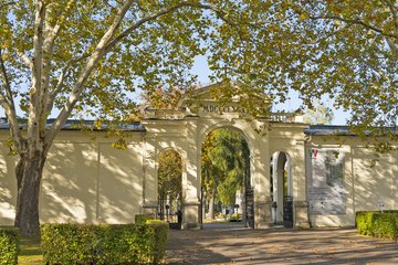 Friedhof Wels
