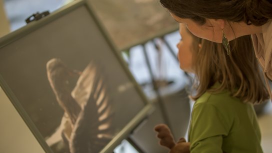 Tiergarten Fotowettbewerb © Rene Hauser