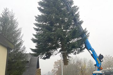 Weihnachtsbaum 2022