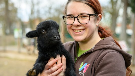 Tiergarten Frühling 2025