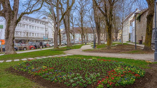 Frühling in Wels