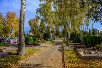Friedhof Wels