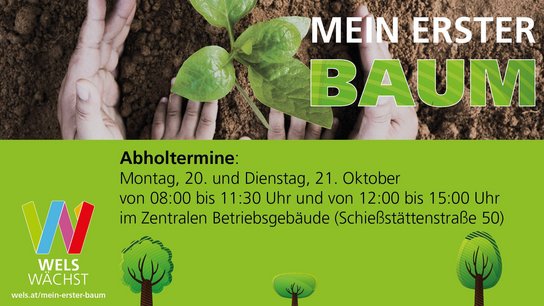 Sujet mein erster Baum