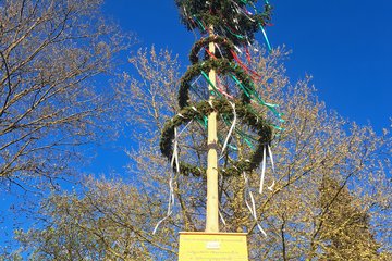 Maibaum Noitzmühle 2026