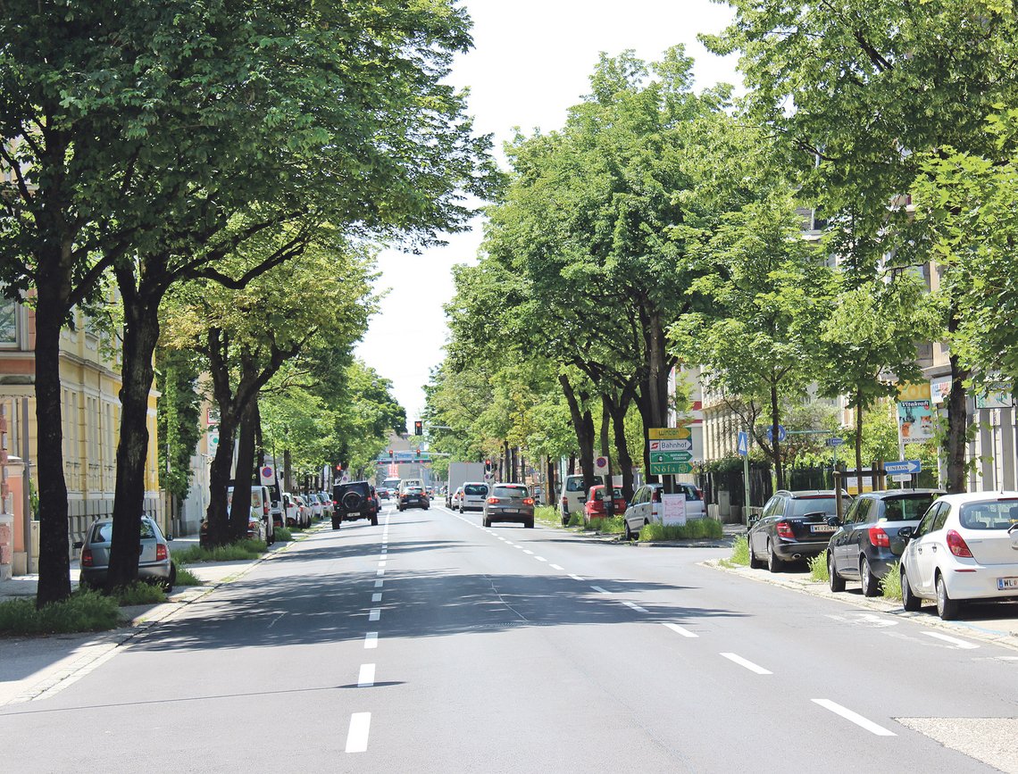 Eisenhowerstraße Sommer