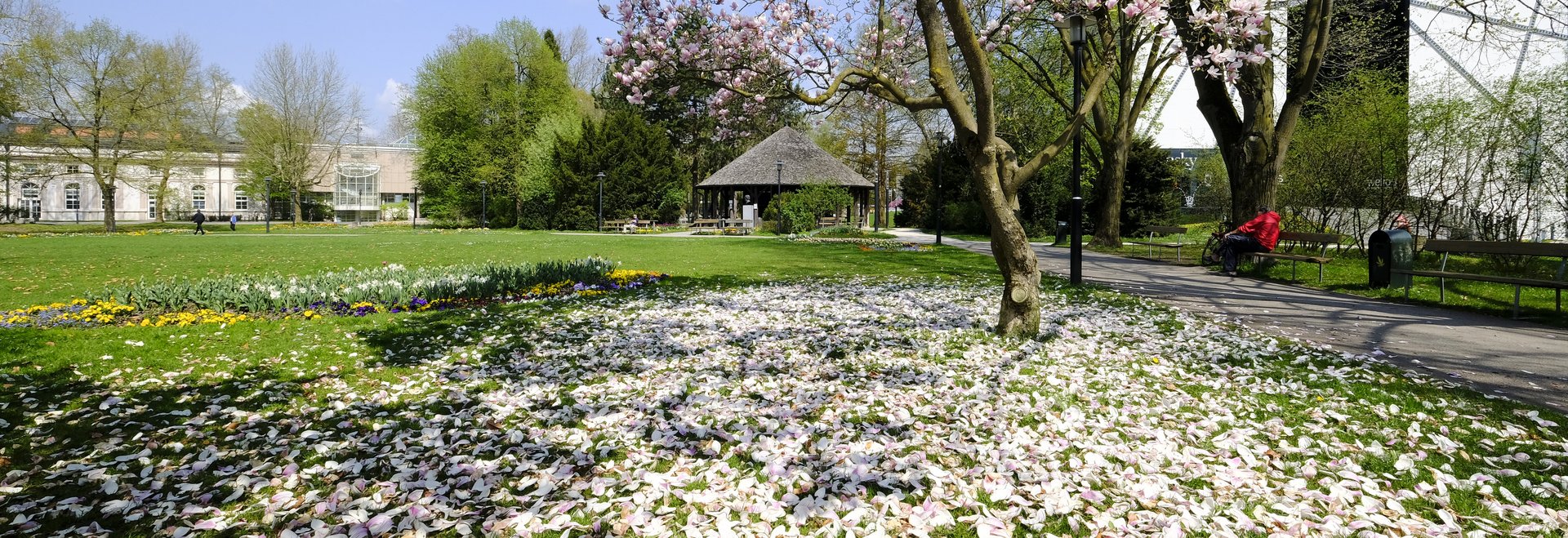 Volksgarten frühling