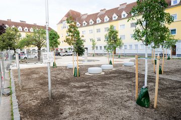 Neugestaltung Vogelweiderplatz