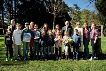 Tiergarten Kinderfreunde Baumdeklaration Rammerstorfer