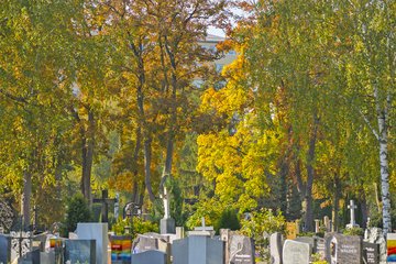 Friedhof Wels