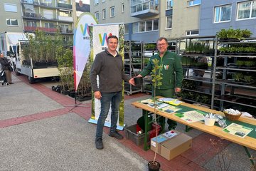 Maibaumfest Noitzmühle