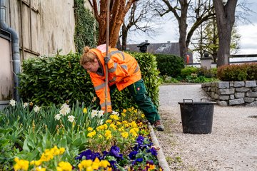 PK Frühling in Wels Stadtgärtner Burggarten 2