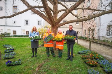 Stadtgärtnerei Frühlingsblumen Burggarten Kroiß Raggl