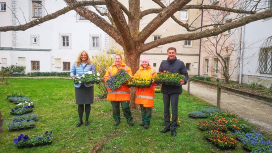 Stadtgärtnerei Frühlingsblumen Burggarten Kroiß Raggl