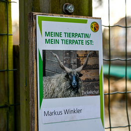 Tierpatenschaft im Tiergarten Wels