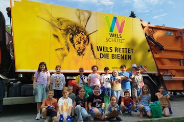 Sauberes Wels