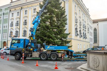 Weihnachtsbaum Rathaus