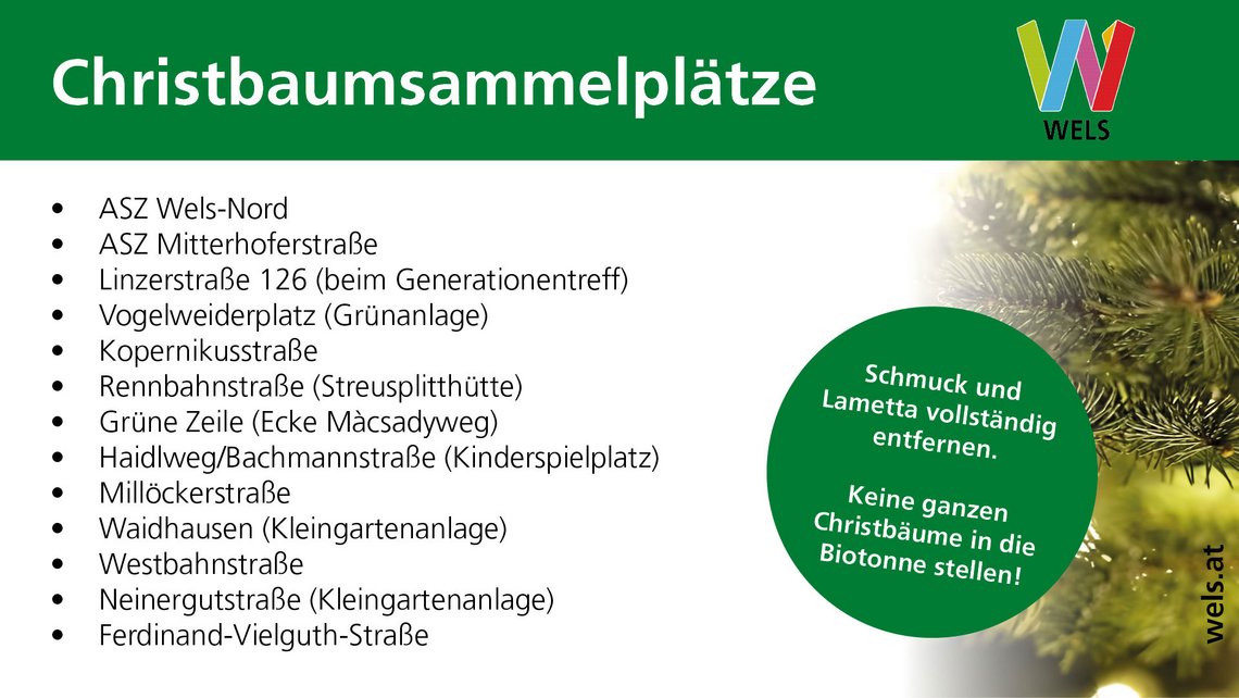 Sujet Christbaumsammelstellen