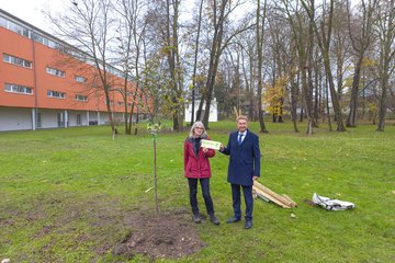 Schlosspark Lichtenegg Baumspende Kroiß