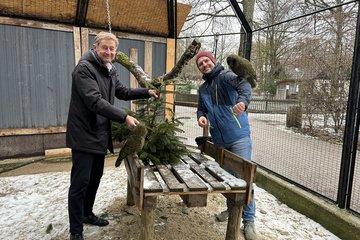 Tiergarten neue Bewohner Christbaum Kroiß Rammerstorfer