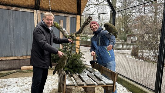 Tiergarten neue Bewohner Christbaum Kroiß Rammerstorfer